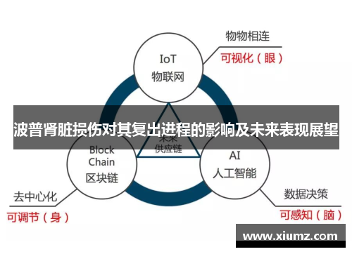 波普肾脏损伤对其复出进程的影响及未来表现展望