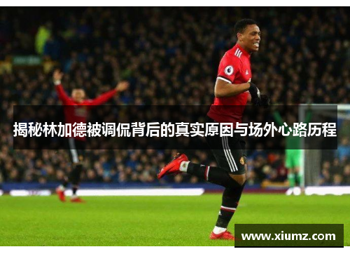 揭秘林加德被调侃背后的真实原因与场外心路历程