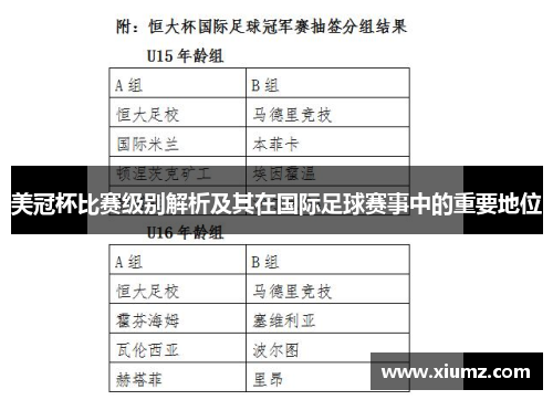 美冠杯比赛级别解析及其在国际足球赛事中的重要地位
